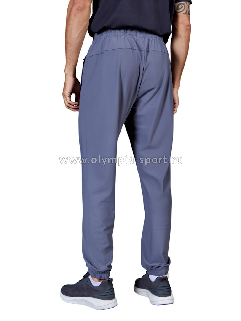 Брюки мужские Strobbs E2315-1 серый