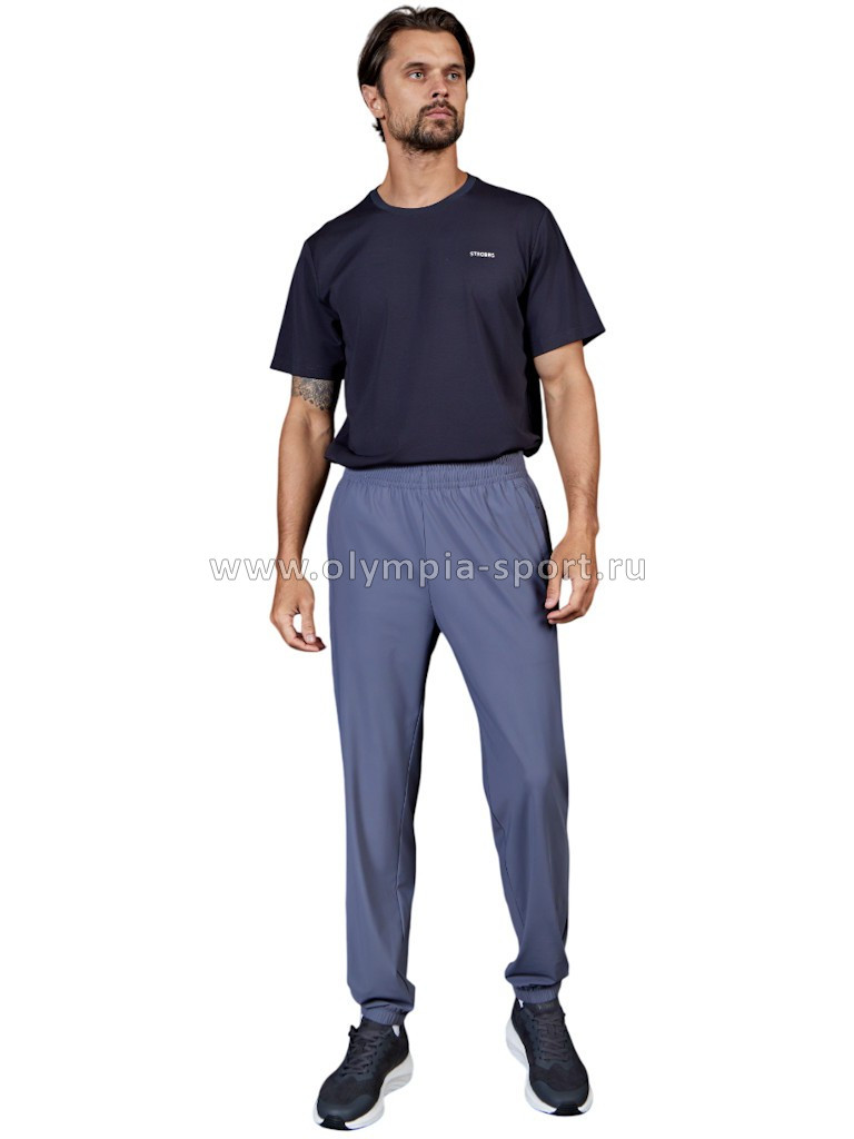 Брюки мужские Strobbs E2315-1 серый