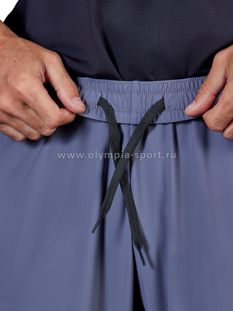 Брюки мужские Strobbs E2315-1 серый