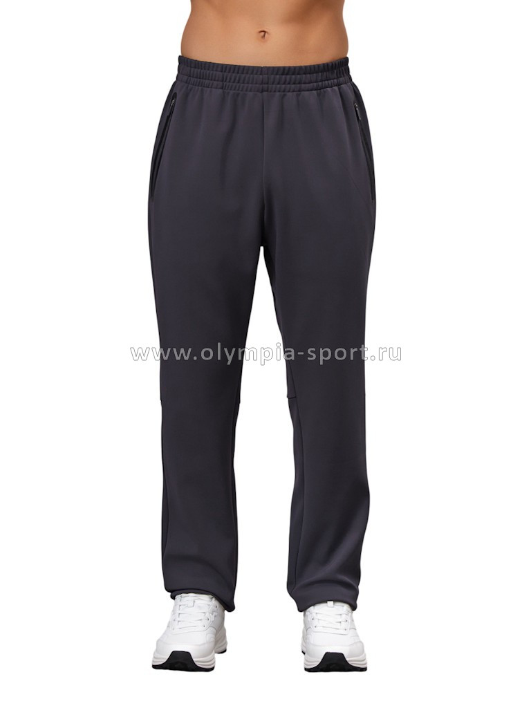 Брюки мужские Strobbs E2361-1 серый